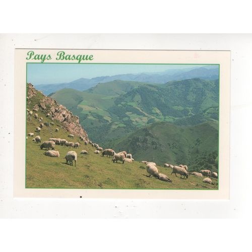 Carte Postale Pays Basque Troupeau De Moutons Mouton