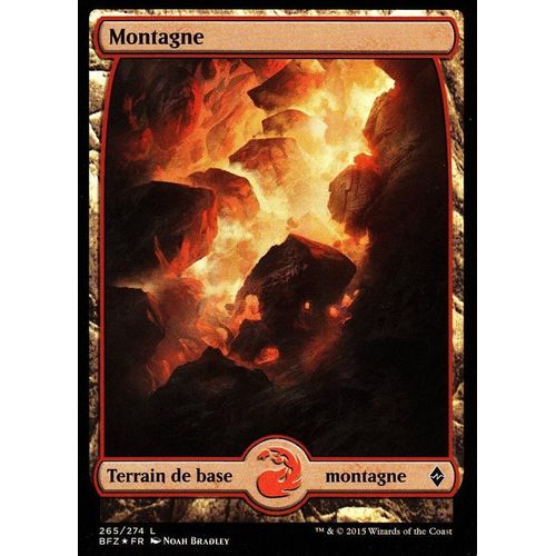 Montagne - Foil - La Bataille De Zendikar Vf - 265/274