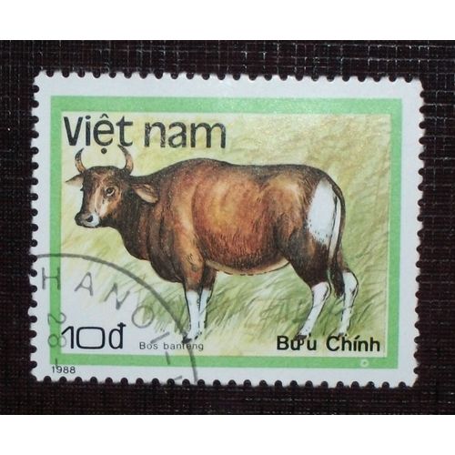 Theme Animaux - Vietnam - Timbre Oblitéré De 1988 - 10d « Bos Banteng » (Ref : Tan-20)
