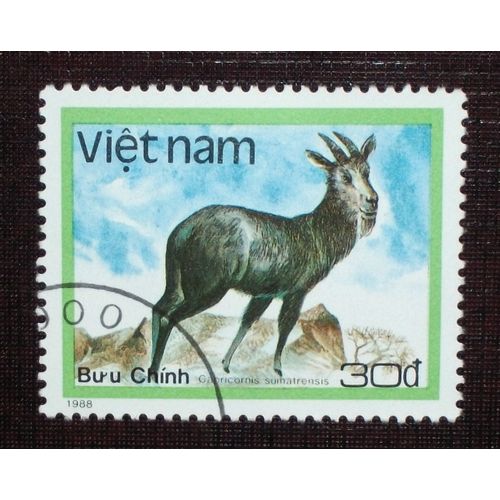 Theme Animaux - Vietnam - Timbre Oblitéré De 1988 - 30d « Capricornis Sumatrensis » (Ref : Tan-30)
