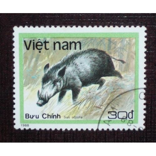 Theme Animaux - Vietnam - Timbre Oblitéré De 1988 - 30d « Sus Scrofa » (Ref : Tan-31)