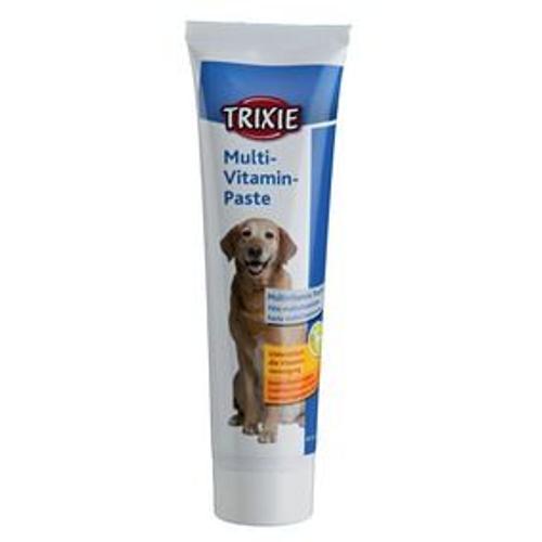 Pâte Multivitaminée Pour Chien, 100 G - 2578