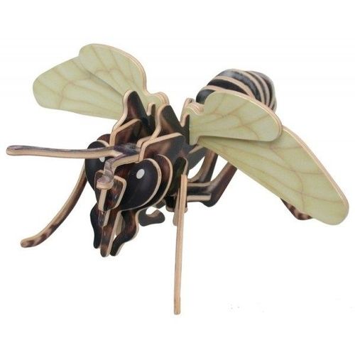 Araignée Mygale 3d