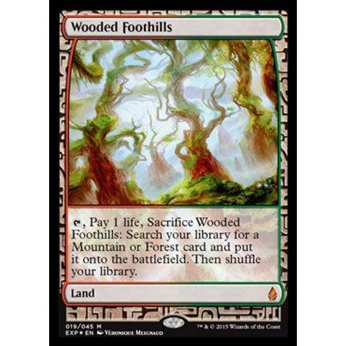Mtg Magic - (M) Zendikar Expeditions - Wooded Foothills Full Art Foil - Nm/M