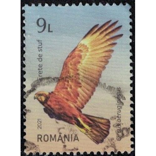 Roumanie 2021 Oblitéré Used Oiseau Rapace Circus Aeruginosus Busard Des Roseaux Y&t Ro 6678 Su