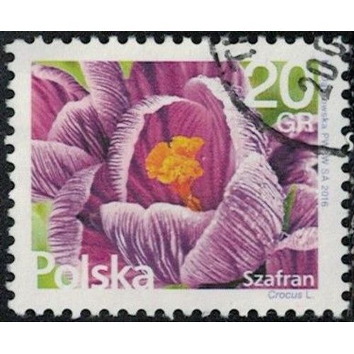 Pologne 2016 Oblitéré Used Safran Crocus Y&t Pl 4482 Su