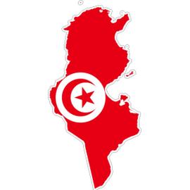 Tunisie drapeau tunisien drapeau coeur' Autocollant