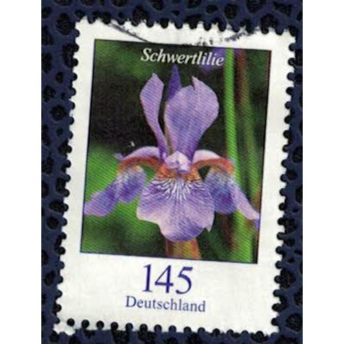 Allemagne 2006 Oblitéré Rond Used Flower Fleur Schwertlilie Iris Belamcanda