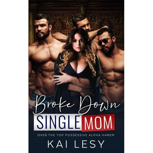 Broke Down Single Mom: A Military Reverse Harem Romance (Lucky Lady Reverse Harems)