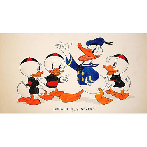 Walt Disney Dessin Original Studio Donald Et Ses Neveux 1930/40