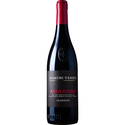 Domini Veneti Amarone Della Valpolicella Classico 2019