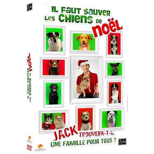 Il Faut Sauver Les Chiens De Noël