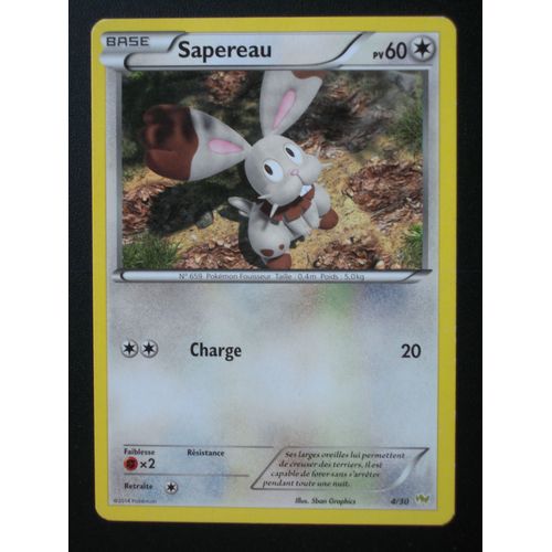 Sapereau 4/30 - Kit Bruyverne