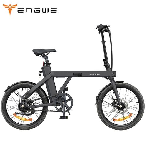 Engwe P20 Vélo Électrique Pliant , Capteur De Couple De Moteur Silencieux 250 W, Batterie 36 V 9,6 A, Pneus 20 X 1,95'', Vitesse Maximale De 25 Km/H, Freins À Disque Hydrauliques - Noir