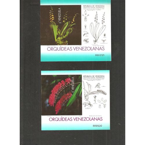 Orchidée Venezuela 1997