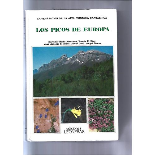 Los Picos De Europa