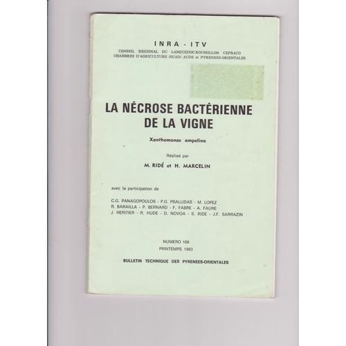 La Nécrose Bactérienne De La Vigne 