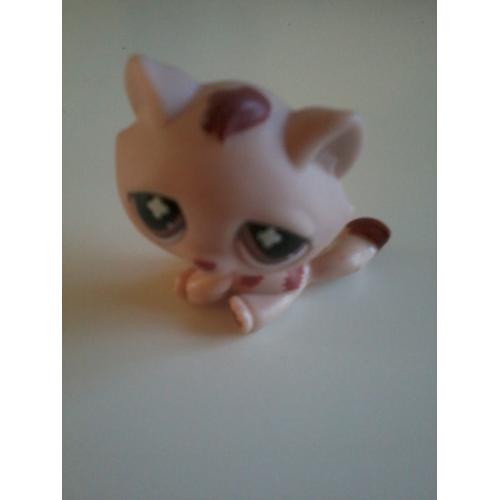 Littlest Petshop Pet Shop Lps Chat De Gouttiere Monopoly Sans Rakuten