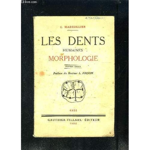 Les Dents Humaines Morphologie