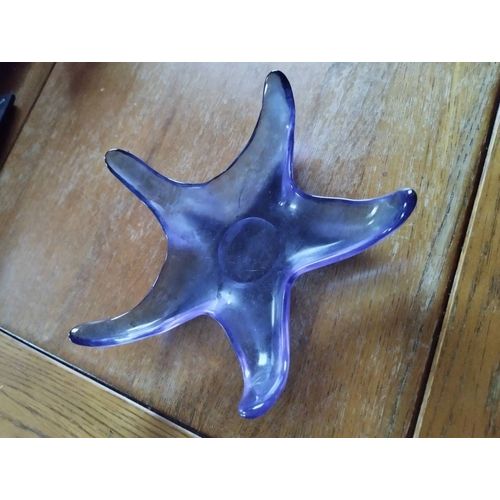 Vide Poche Étoile De Mer