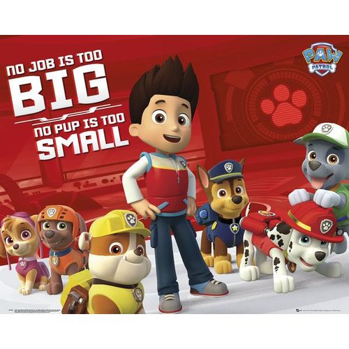 Paw Patrol - La Pat' Patrouille - Équipe - Affiche / Poster Envoi En Tube