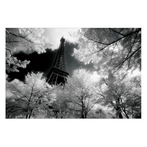 Tour Eiffel - David Noton - Affiche / Poster Envoi En Tube