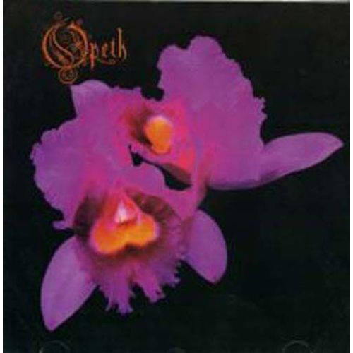 Orchid