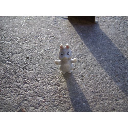 Lapin 