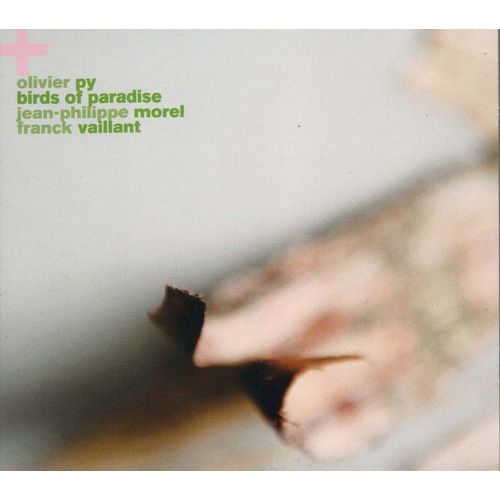 Birds Of Paradise