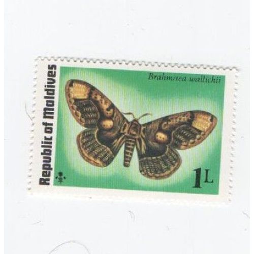 Timbre Non Oblitéré Maldives Papillon