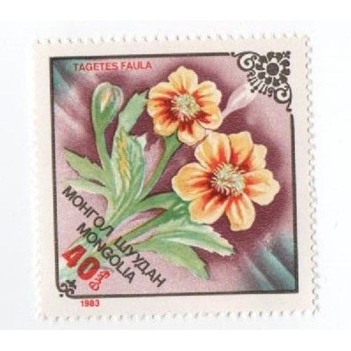 Timbre Mongolie Mongolia Fleur Tagetes Faula Non Oblitéré 