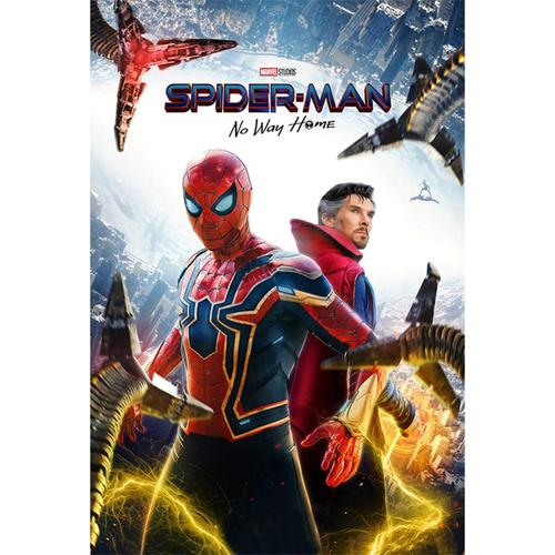 [NN985-E 20*30 cm] peinture sans cadre noyau Spider-Man peinture décorative salon chambre tenture murale peinture toile