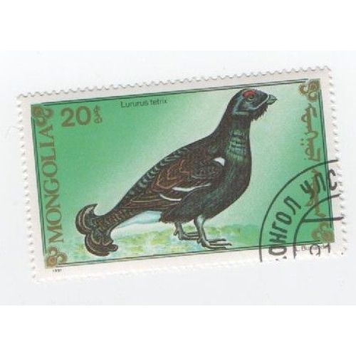 Timbre Oblitéré Mongolie Mongolia Oiseau Lururus Tetrix