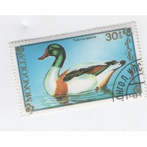 Timbre Oblitéré Oiseau Tadorna Tadona Canard Oblitéré Droite Bas 