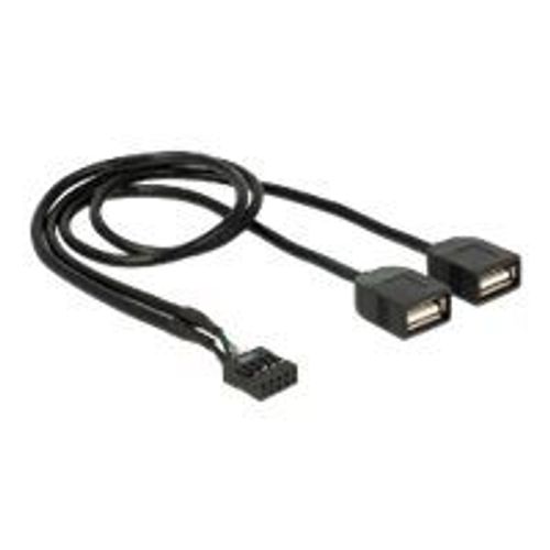 Delock - Adaptateur interne vers externe USB - connecteur USB 10 broches (F) pour USB (F) - 40 cm - noir