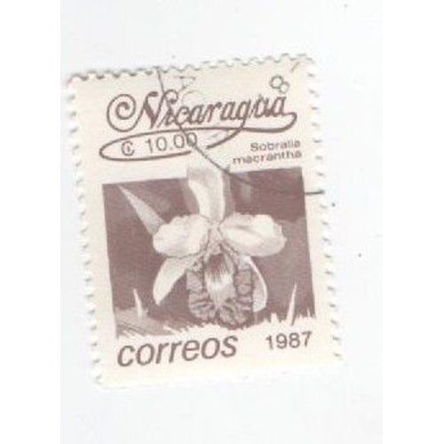 Timbre Oblitéré Nicaragua Fleur Plante Sobratia Macrantha 