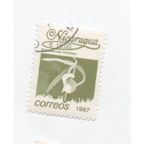Timbre Oblitéré Nicaragua Fleur Plante 