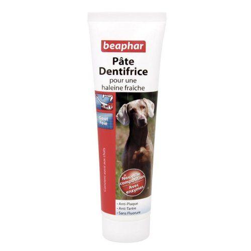 Pate Dentifrice Haleine Fraiche Beaphar 100g 