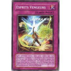 Yu-Gi-Oh! - Tshd-Fr073 - Esprit Vengeurs - Commune