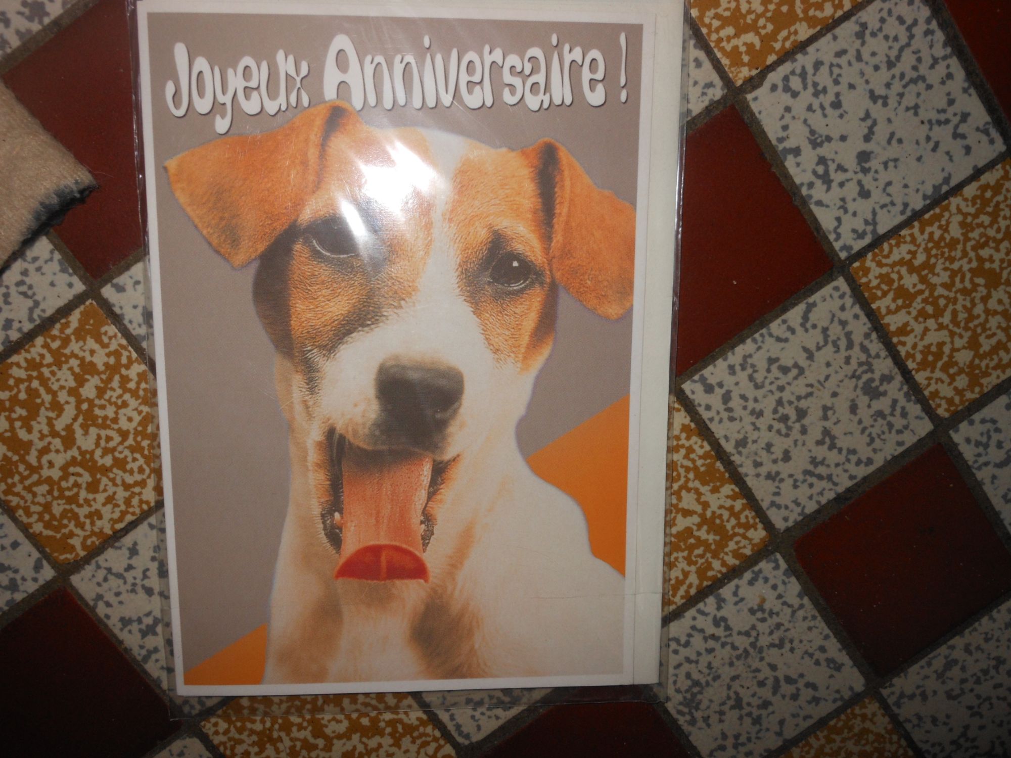 Carte Chien Qui Tire La Langue Annonce Joyeux Anniversaire Rakuten