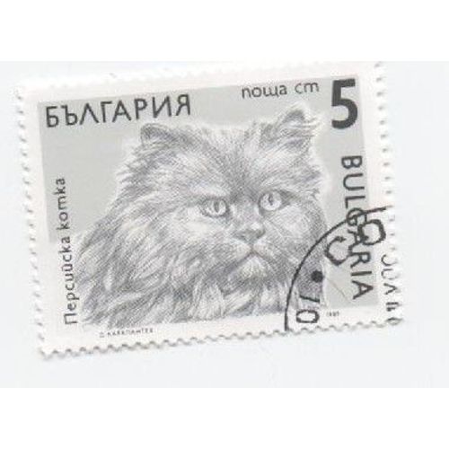 Timbre Bulgar Bulgarie Oblitéré Chat Cat 