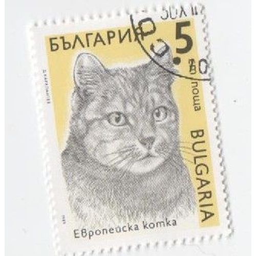 Timbre Chat Bulgarie Bulgar Cat Oblitéré