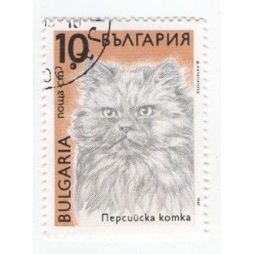 Timbre Bulgarie Bulgar Oblitéré Chat Cat 10