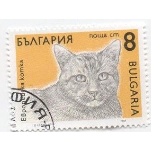 Timbre Bulgarie Bulgar Oblitéré Chat Cat 8