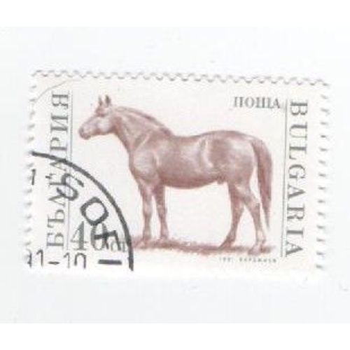 Timbre Bulgarie Bulgar Oblitéré Cheval Animaux De La Ferme