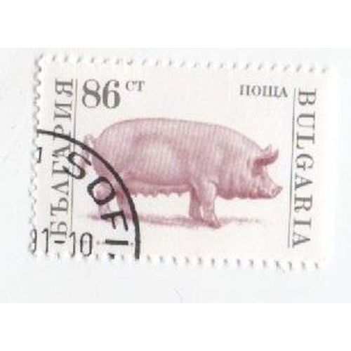 Timbre Bulgarie Bulgar Oblitéré Cochon Animaux De La Ferme