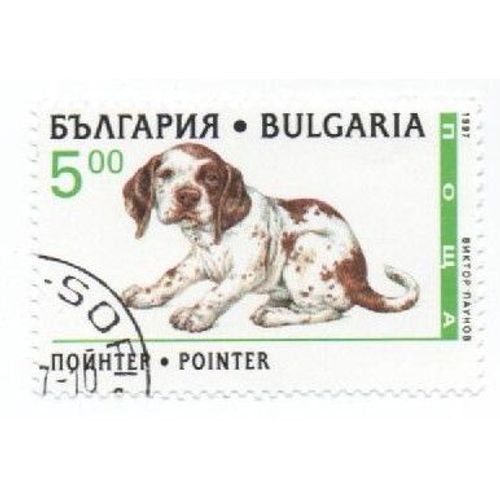 Timbre Bulgarie Bulgar Oblitéré Chien Dog 