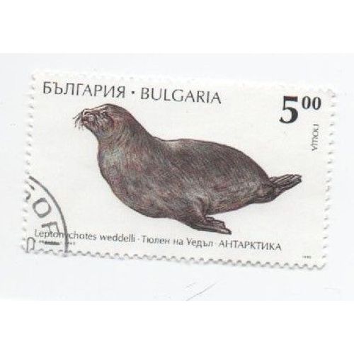Timbre Bulgarie Bulgar Oblitéré Animaux Marin Antarctique 