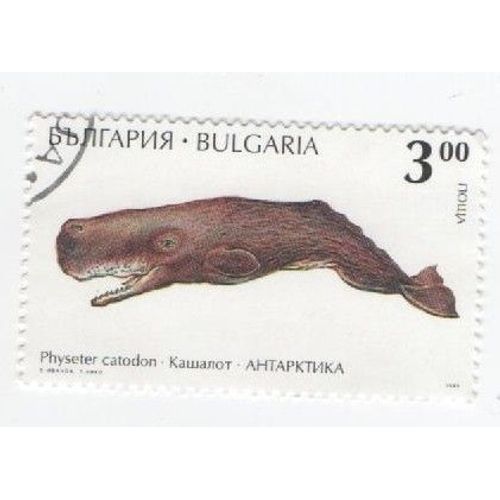 Timbre Bulgarie Bulgar Oblitéré Animaux Antarctique Marin 3.00