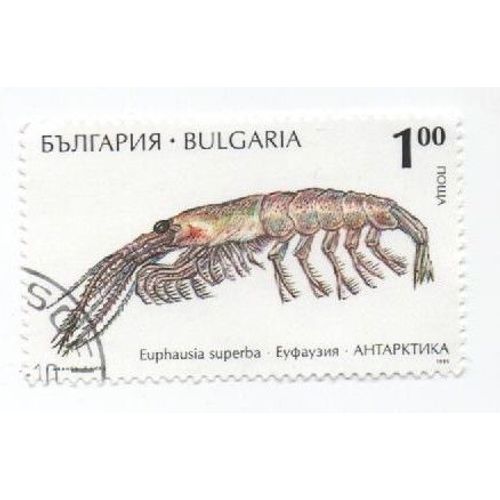 Timbre Bulgarie Bulgar Oblitéré Crustaces Animaux Marin Faune Antarctique 